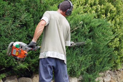 Red Spot Maintenance Services Red-Spot-Maintenance-Services